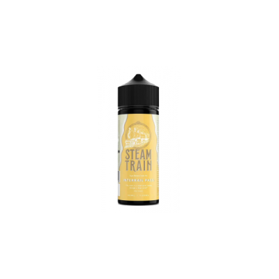 Steam Train Interrail Pass 30/120ML