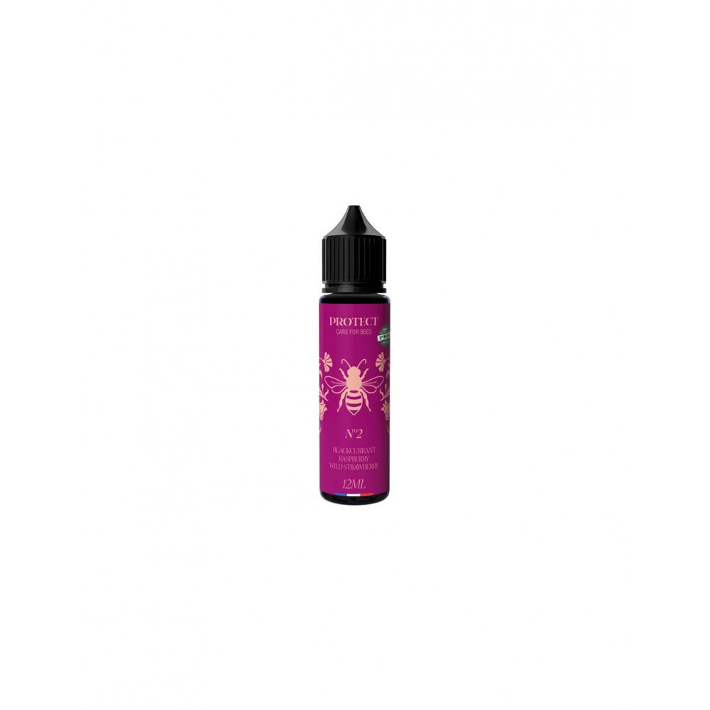 Protect Blackcurrant Raspberry Wild Strawberry Flavour Shot 12/60ml